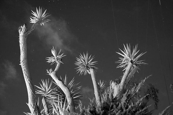 P1050255